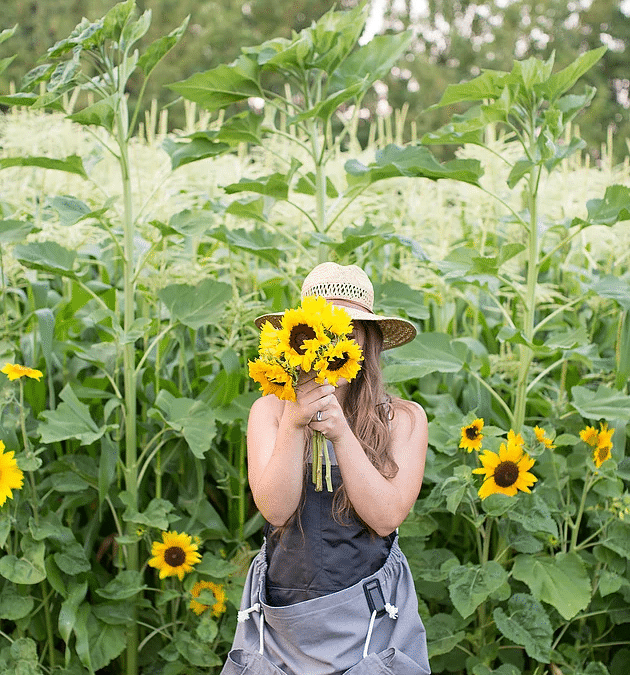 Beginner Gardening Series: August Edition