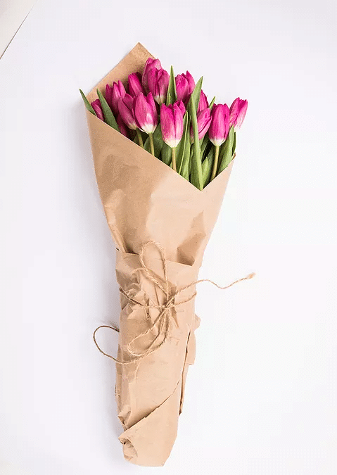 Tulip Care: Tips & Tricks