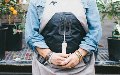 Spring Cleaning Your Garden