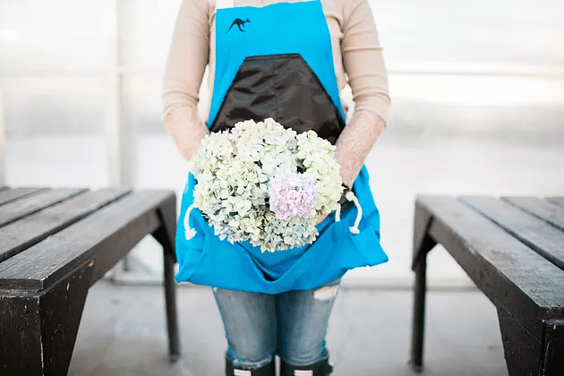 Hydrangea and Rhododendron: How to Care for Your Plants