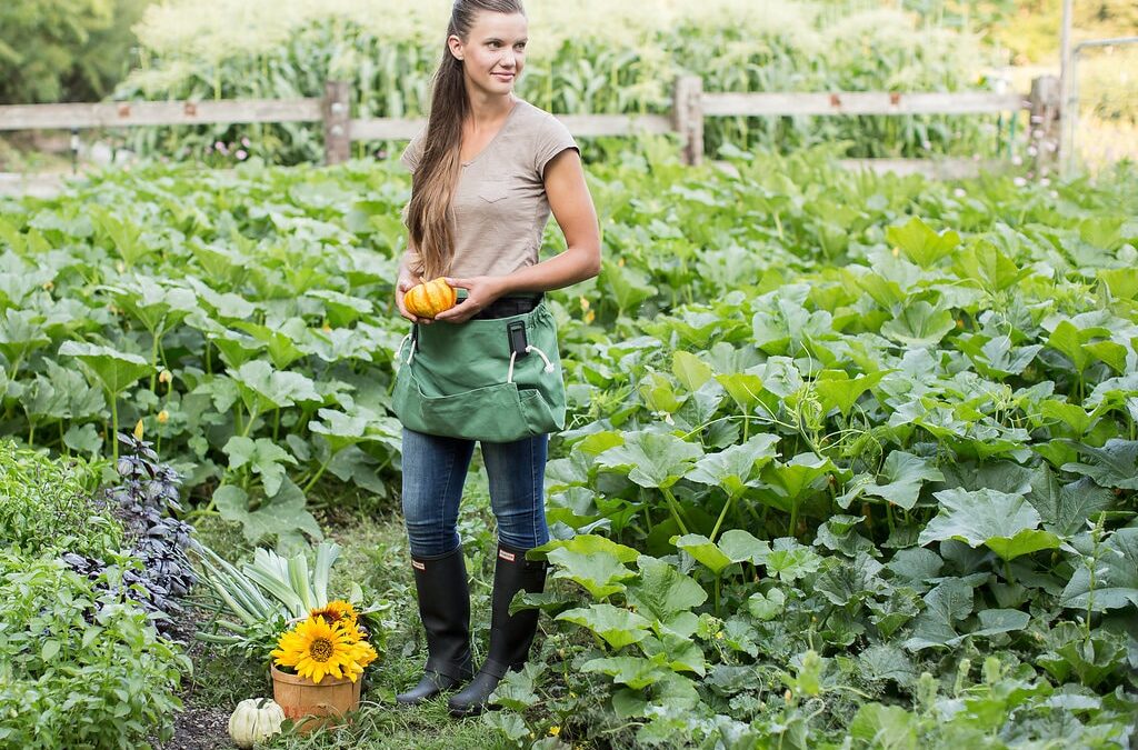 Beginner Gardening Series: September Edition