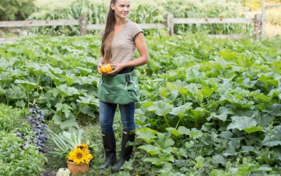 Beginner Gardening Series: September Edition