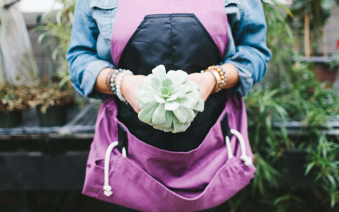 5 Best Plants for a Host or Hostess Gift