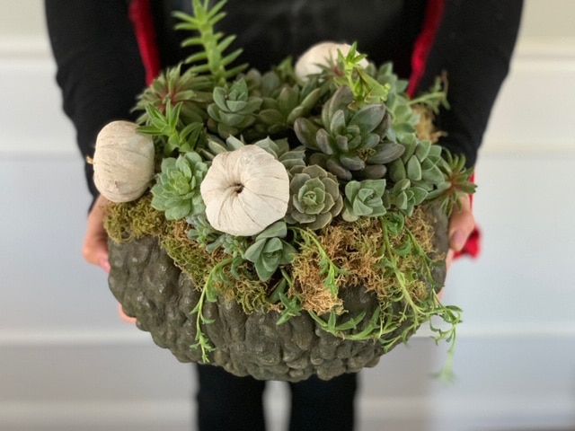 How to Make a Pumpkin Succulent Centerpiece