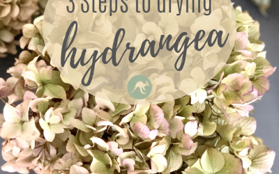 3 Steps To Drying Hydrangea