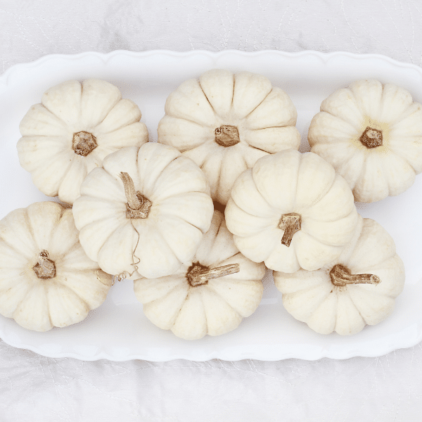 white pumpkin display