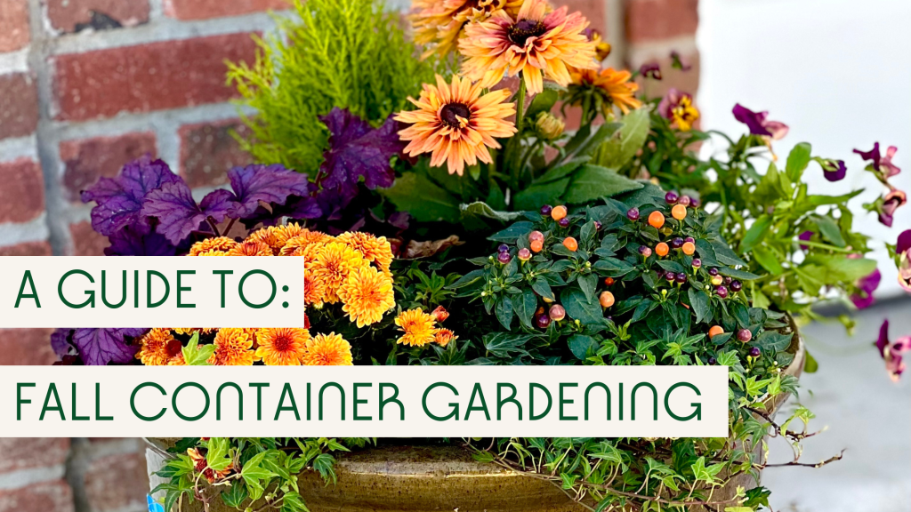 pot full of fall flowers