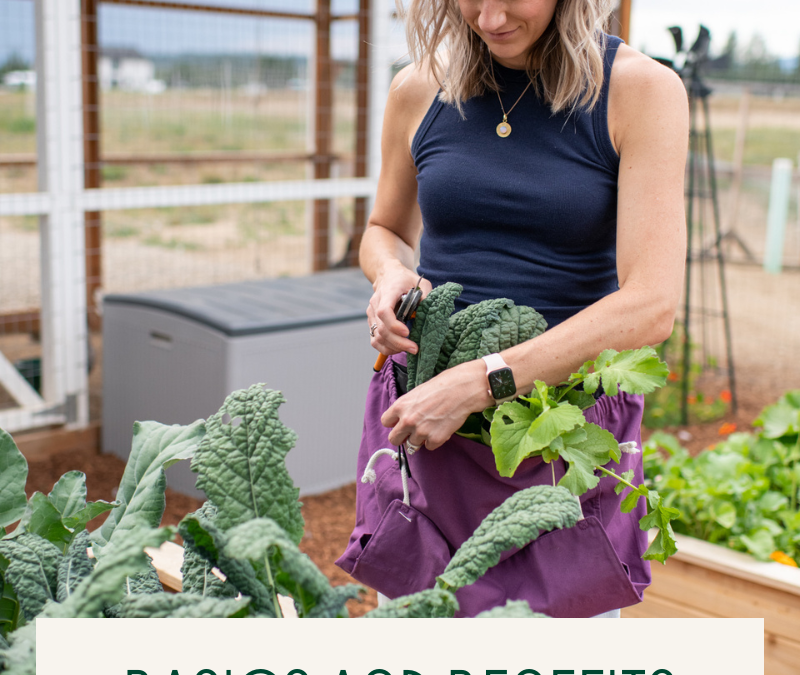 The Garden Goods: Basics And Benefits Of Gardening