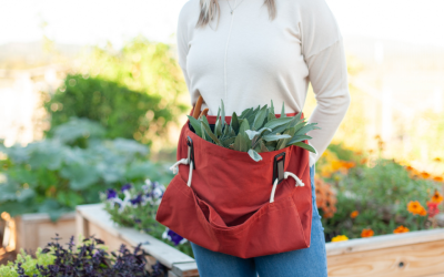 The Garden Goods: Companion and Succession Planting