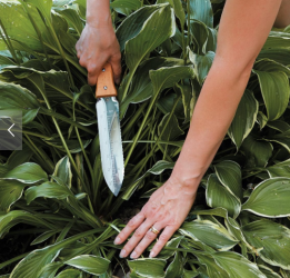 The Garden Goods: Tools Of The Trade